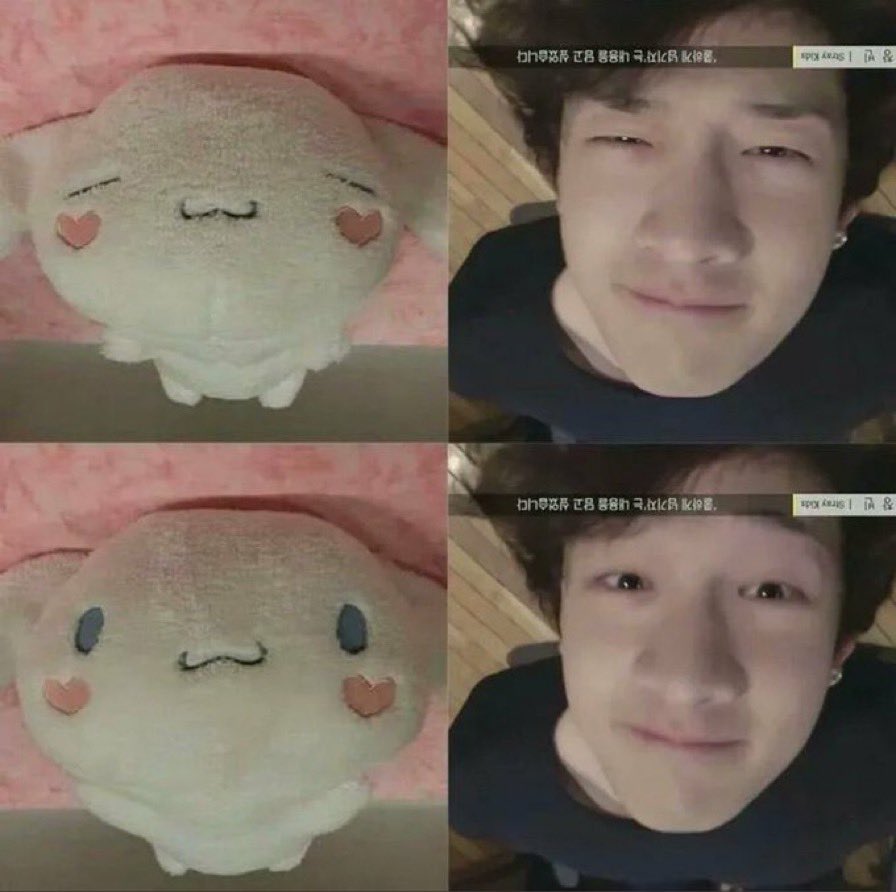 chrisbegoppayoo's tweet photo. the cutest!!! ❤️❤️❤️ https://t.co/vHpxXm4qJ0