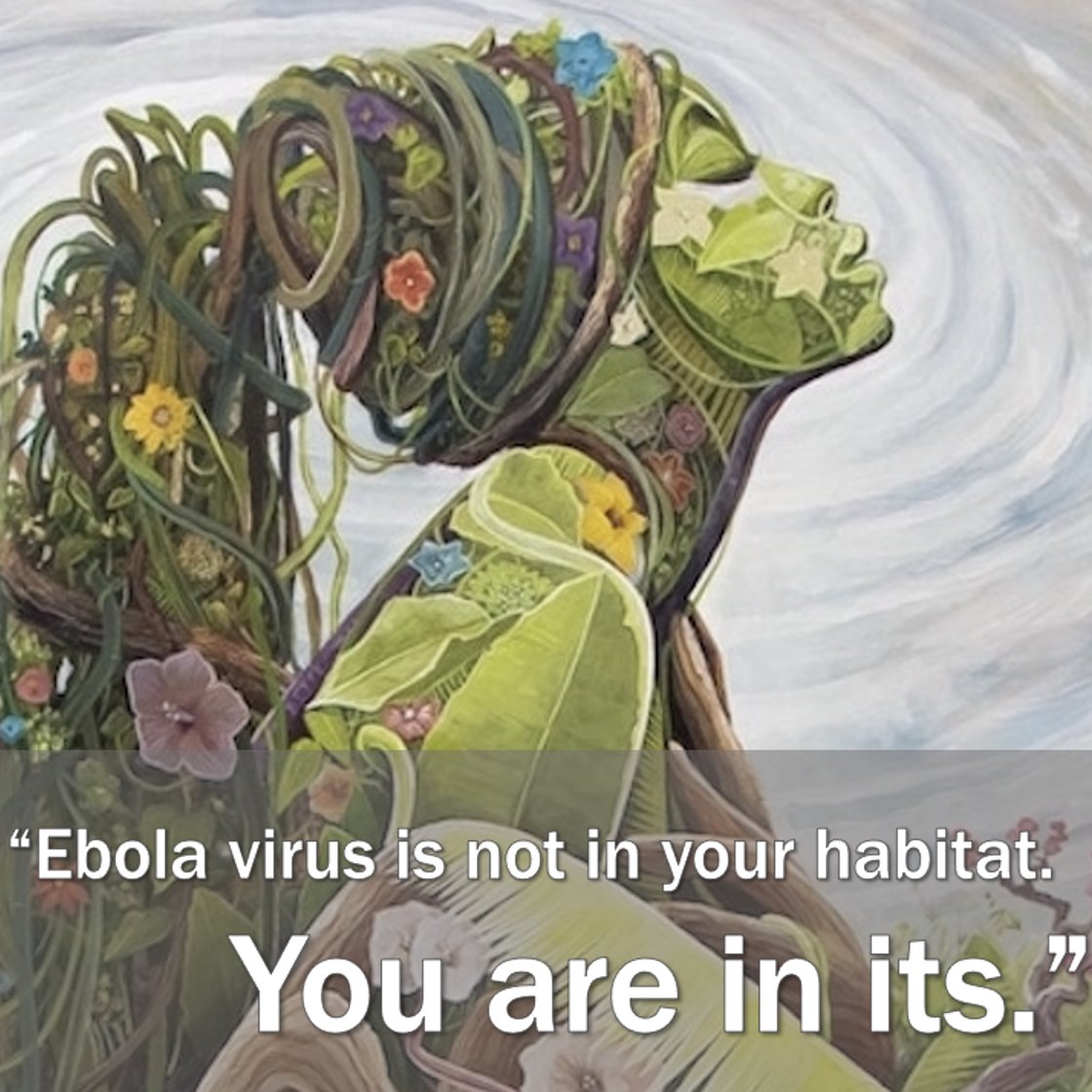 thetickguy's tweet photo. Reading about Ebola in #Spillover #13Gorillas. Humans try and control everything in nature for our own safety but must remember we’re also part of nature #studentinsight. Thanks @DavidQuammen https://t.co/cB0wfGDRjS