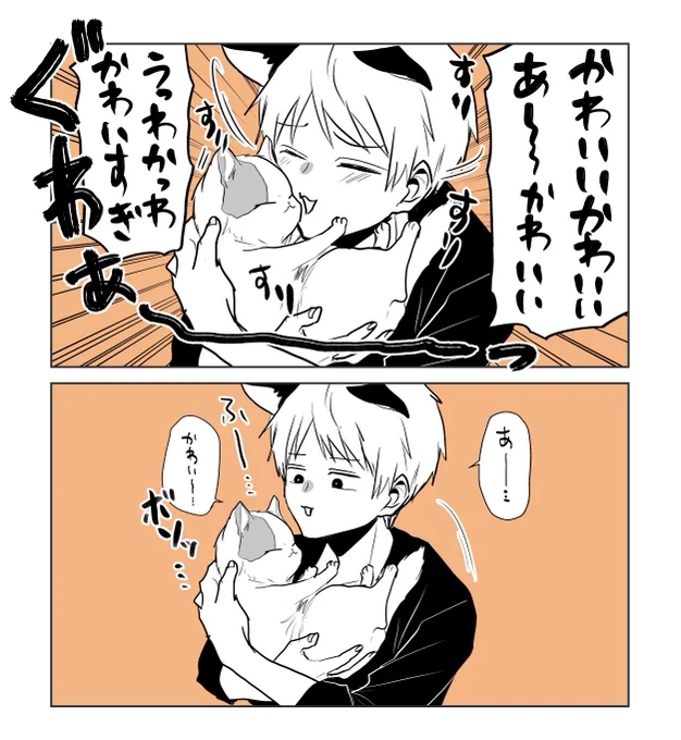 可愛くない時がない #猫の日 