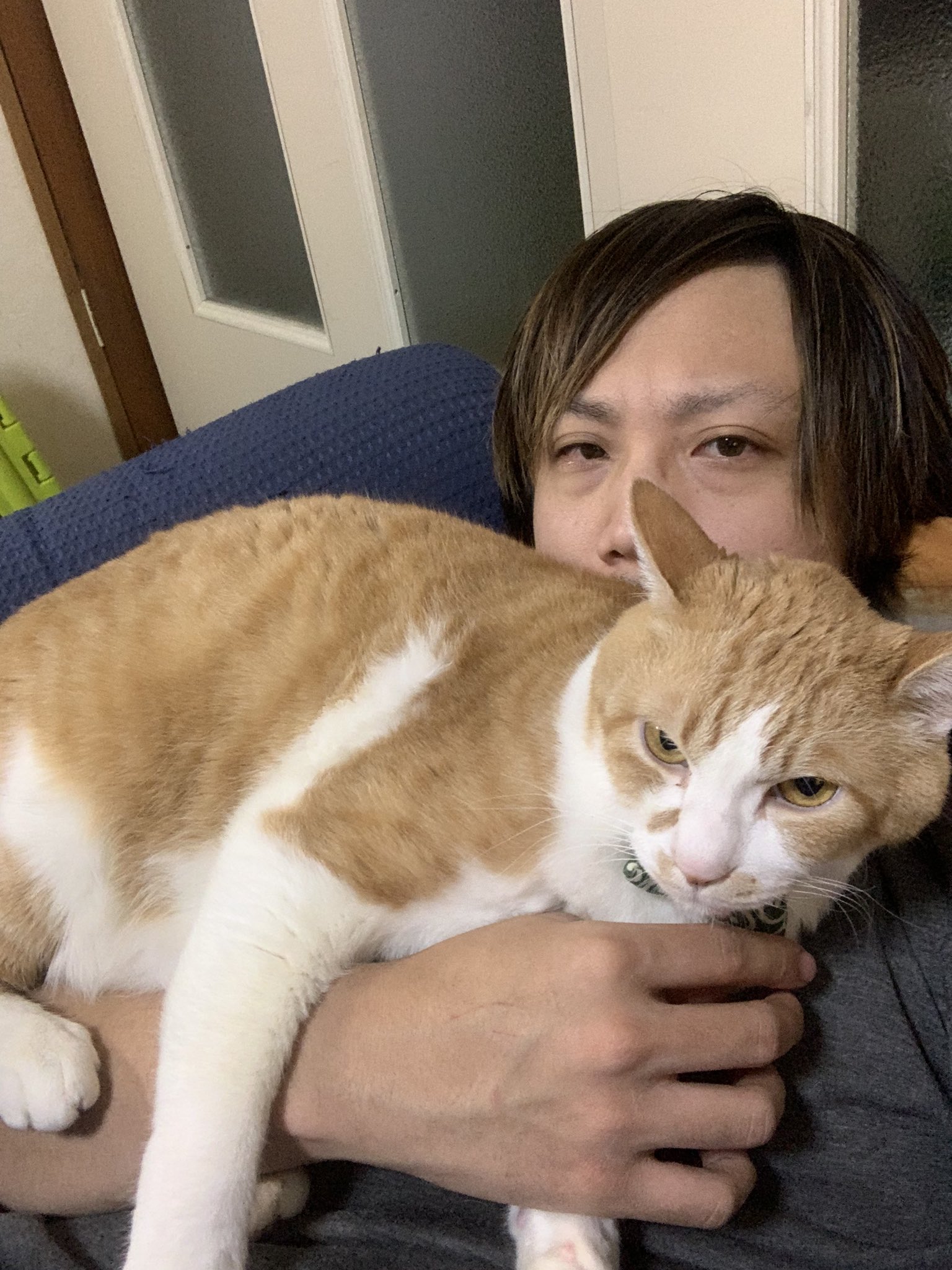 煉 虎徹 スーパー猫の日 らしいぞよ T Co Tg5bidpakh Twitter