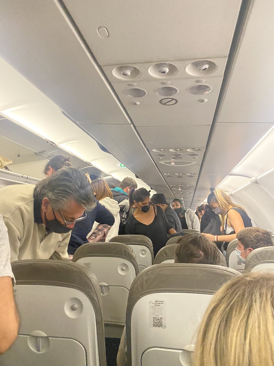 Aterriza el avión, todos se vuelven locos para levantar sus bolsos.

Y se van a quedar 30 minutos parados.

Simios.