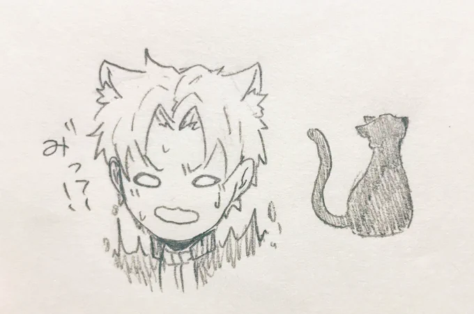 スーパー🐱の日ですし過去絵のっけちゃおう🐈🐈🐈(どれもこれも三〜四年前に描いたものです) 