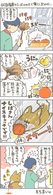 2022年2月22日!
にゃんにゃんにゃんし過ぎて困ります～

#もちもち #お客様困ります #コンビニ #アルバイト #猫の日 #にゃんにゃんにゃんの日 