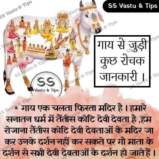 Ramanujrajput7's tweet photo. जयगुरूदेव 🙏
मानव आहार शाकाहार।
शुद्ध खून करता संचार
#समय_की_मांग_शाकाहार https://t.co/nndnDc3lur