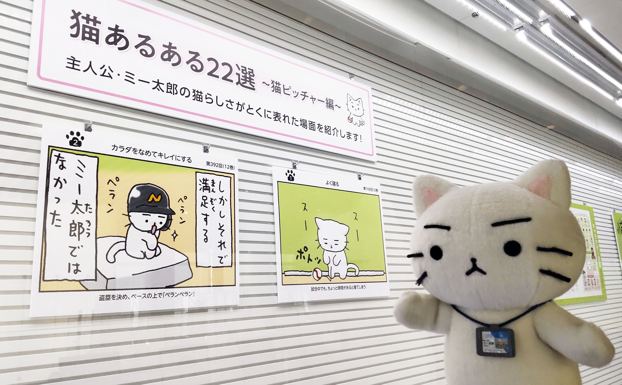 読売新聞ブランド企画部 22年2月22日 猫の日 記念 猫ピッチャー展 開催中 本日2 22は19時半まで 読売新聞ビル3階 大手町 駅c3直結 本展は T Co Umeyykzfrc 猫ピッチャー そにしけんじ 作 は 読売新聞