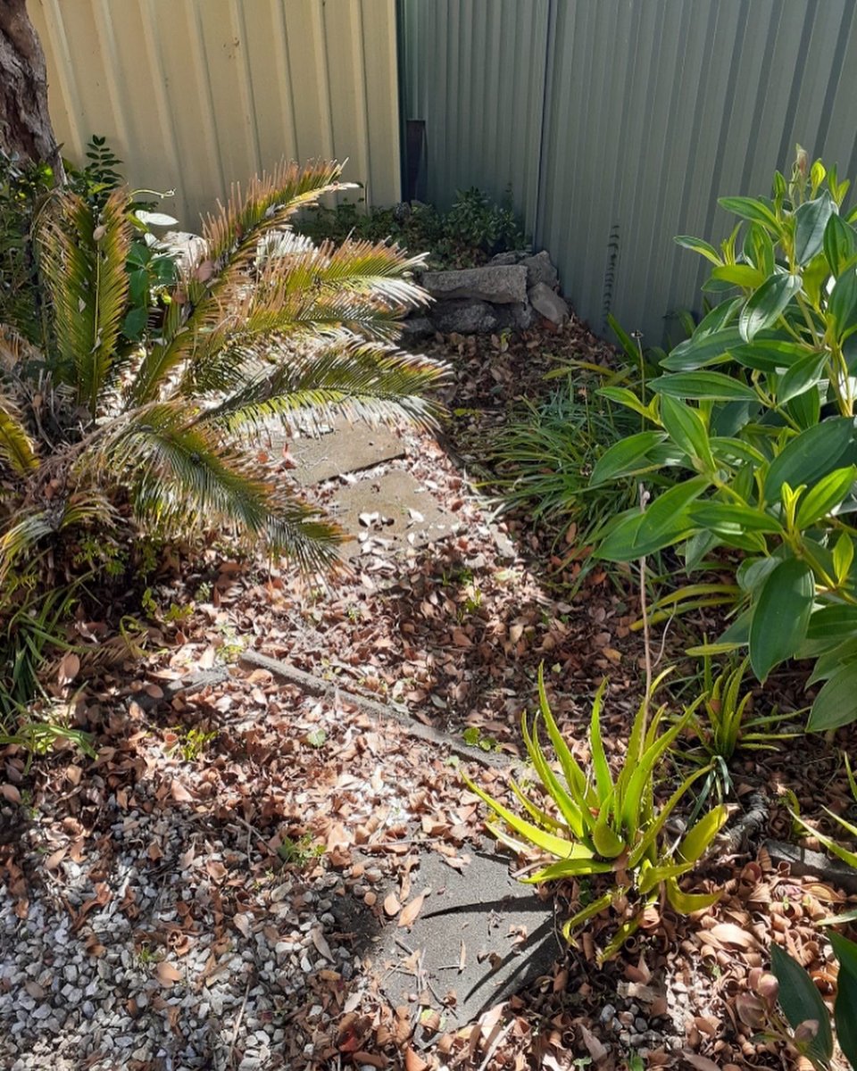 infoaacares's tweet photo. The #AussieAgedCare #team have had quite a few #weeding #jobs these past few weeks. It’s always good to have varied #work requested and #positive #feedback from our lovely #clients 💜 https://t.co/g8AmhSCQH9