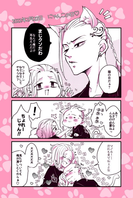 マイドラちゃんでにゃんこの日🐱 