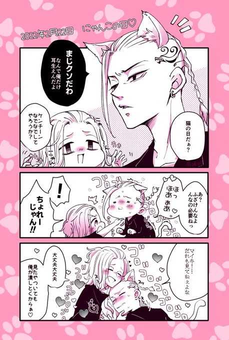 マイドラちゃんでにゃんこの日🐱 