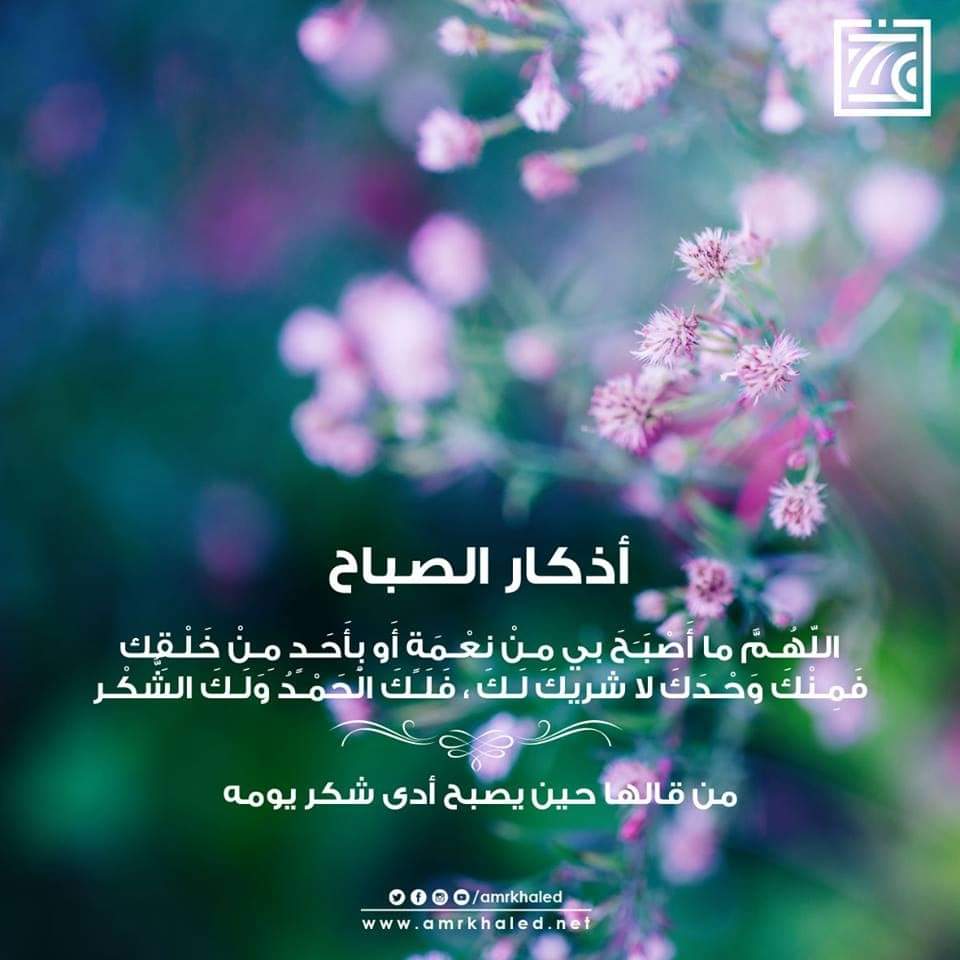AmrkhaledN's tweet photo. https://t.co/12p4AMzUEh
