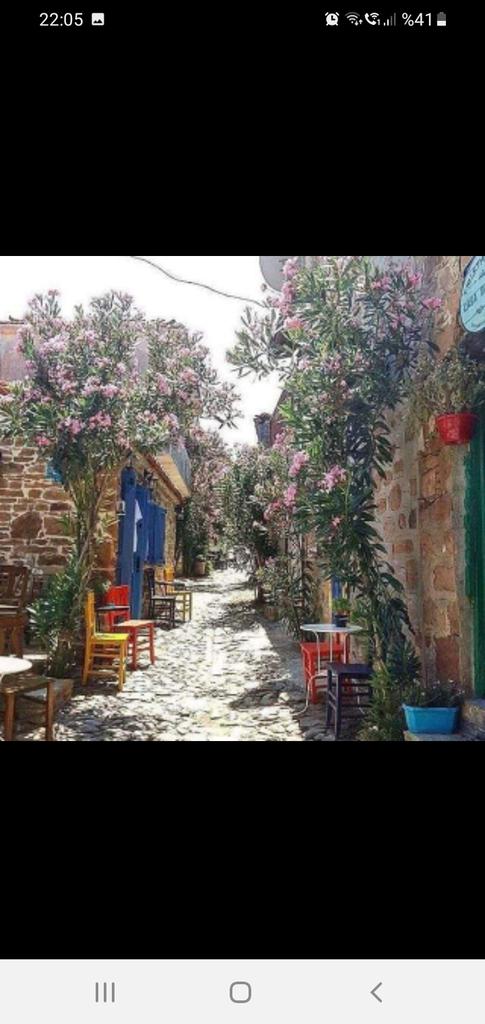 Günaydın arkadaşlar