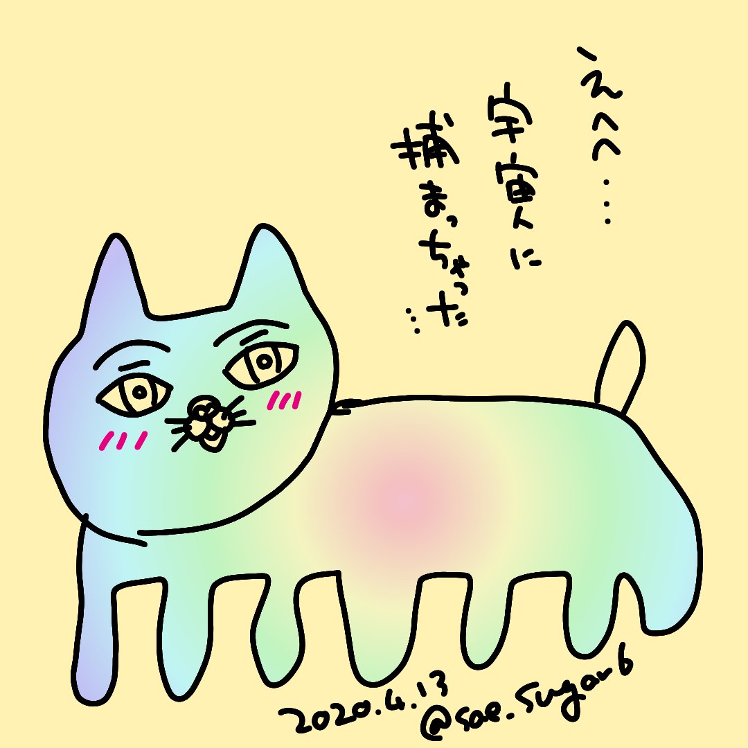ねこのひだから 