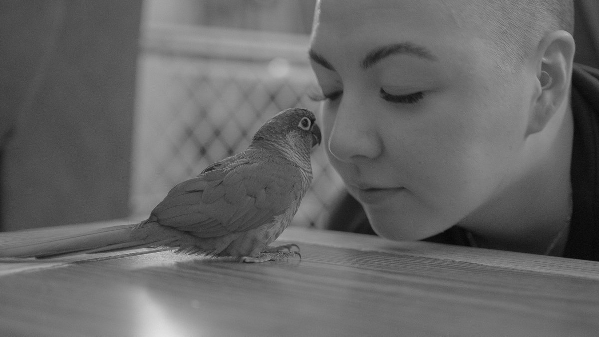 HelloColorado's tweet photo. Bought the Sony 35mm 1.8 recently and I've been pretty happy with the results so far!

#helloColorado #35mm #Colorado #photography #birb #blackandwhite @SonyAlpha https://t.co/VO98LY9aPF