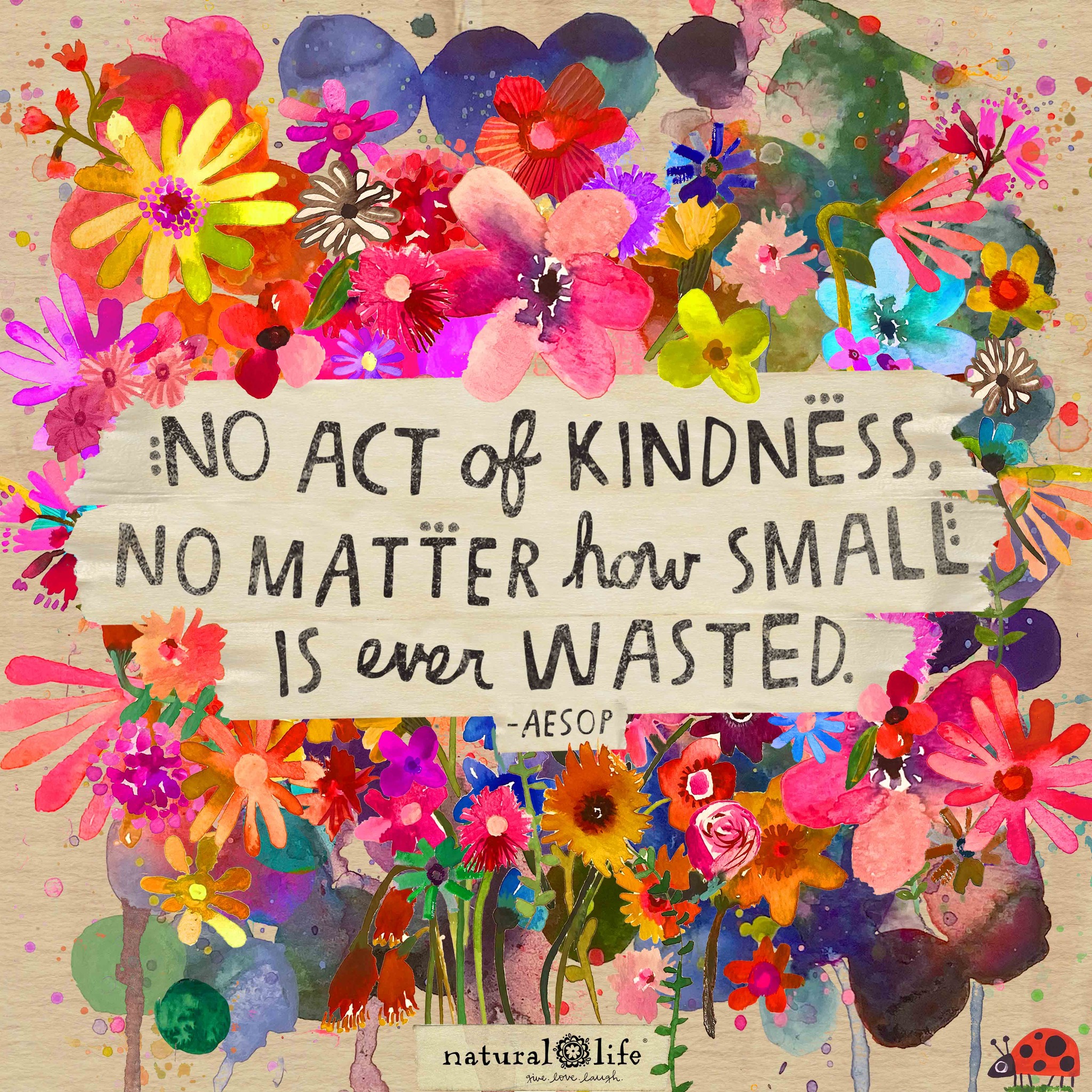 Inspiration &amp; More on X: &ldquo;No act of kindness, no matter how small 