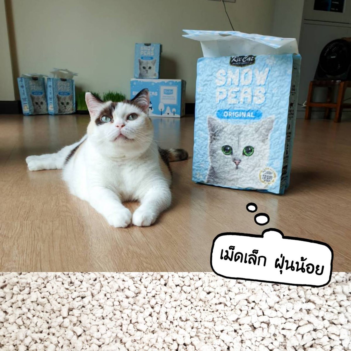 หลงหลง tweet media