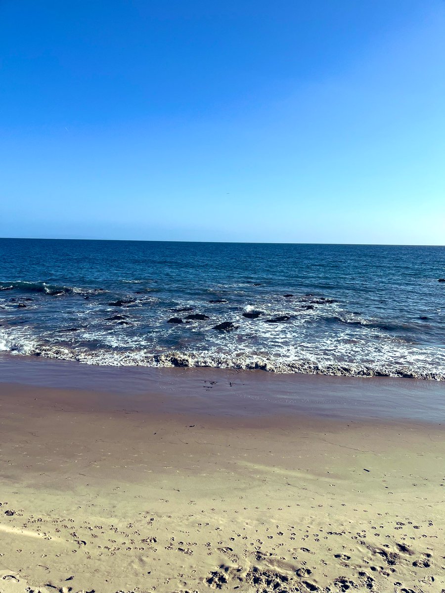 MossNFT's tweet photo. Yo…#highpanda bout that Malibu life.
#nft #malibu #dontbemad https://t.co/RKMUdTKmRv