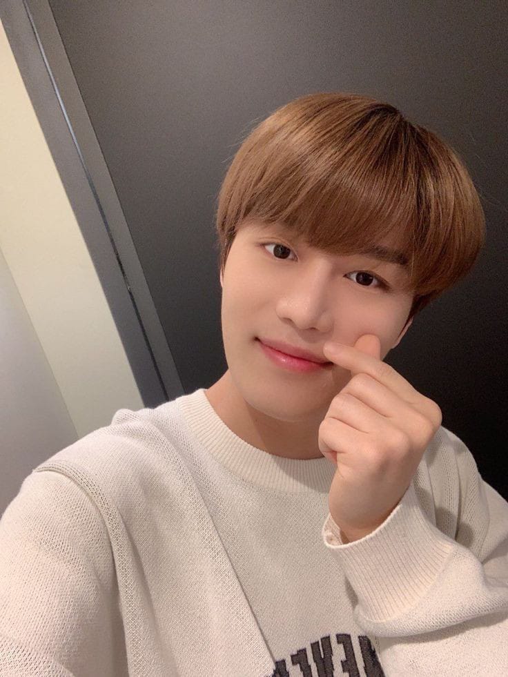lemontdnct's tweet photo. GET WEL SOON AYANG🥺💗
Istirahat yg cukup ya biar cpt sembuh😓💗
#항상문태일이함께
#AlwaysWithMoonTaeil
#GetWellSoonTaeil https://t.co/4brxYHnItc