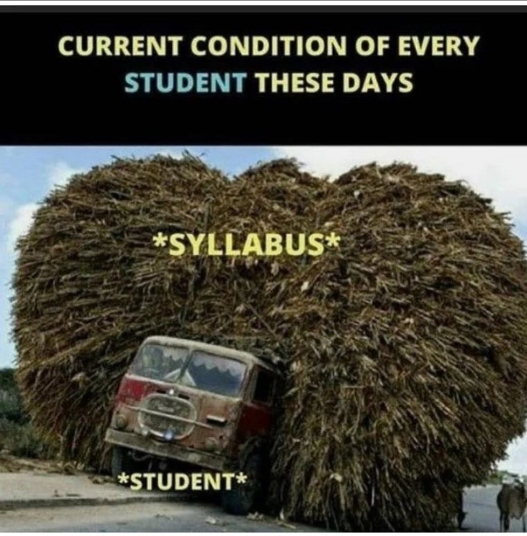 SujitChhetry7's tweet image. Sad reality....... Still the government is ignoring us ........ We are helpless . 
#InternalAssessmentForAll2022 
#studentslifematter
#ashec 
@himantabiswa 
@narendramodi