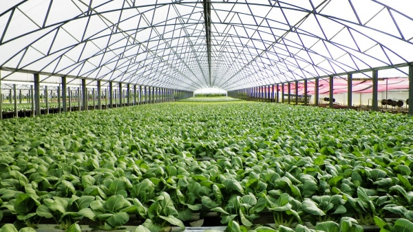 Agirite's tweet photo. If you love modern farming? Like and retweet. https://t.co/CAFlwdDgeW