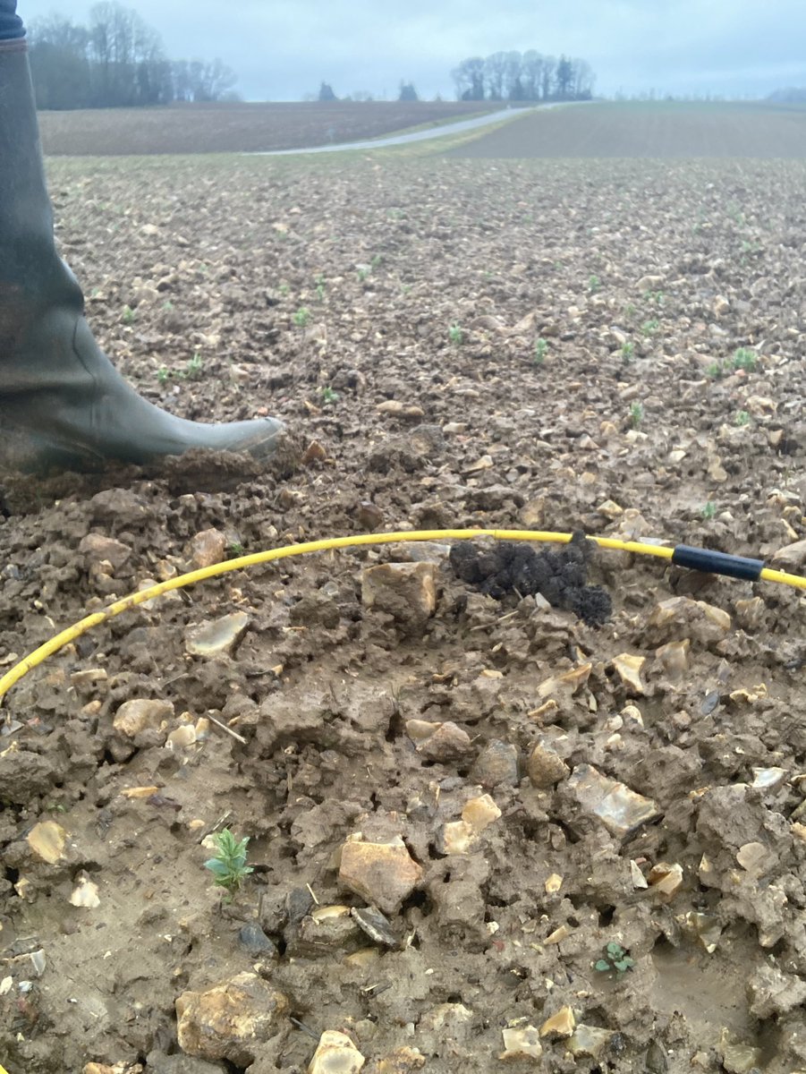 BONNIN1402's tweet photo. @OlivierCOSTE2 @gabriel_omnes Jachère ou #Protéagineux ?
Ces derniers n’aiment pas tous les types de sol en #ZoneIntermédiaire mais sont pourtant si bénéfiques à la rotation #BasCarbone et #BasGES…
Or certains freins semblent compliqués à gérer. https://t.co/4vggXbnqev