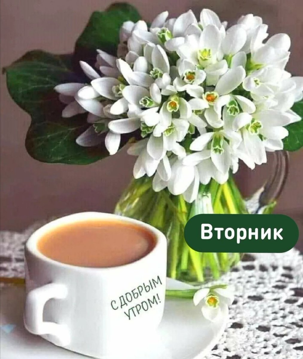 Доброе утро, мои лучики!🖐️ Хорошего дня и отличного настроения!!! 💖💐❄️