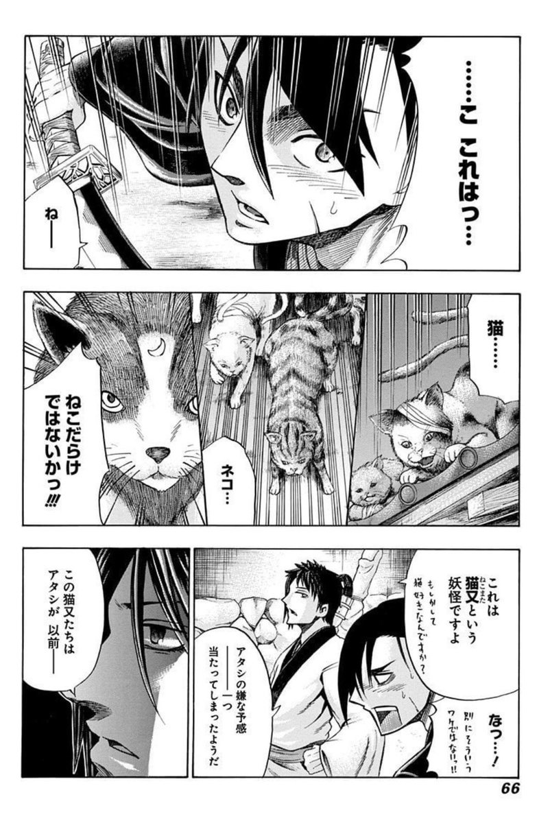 #猫の日 