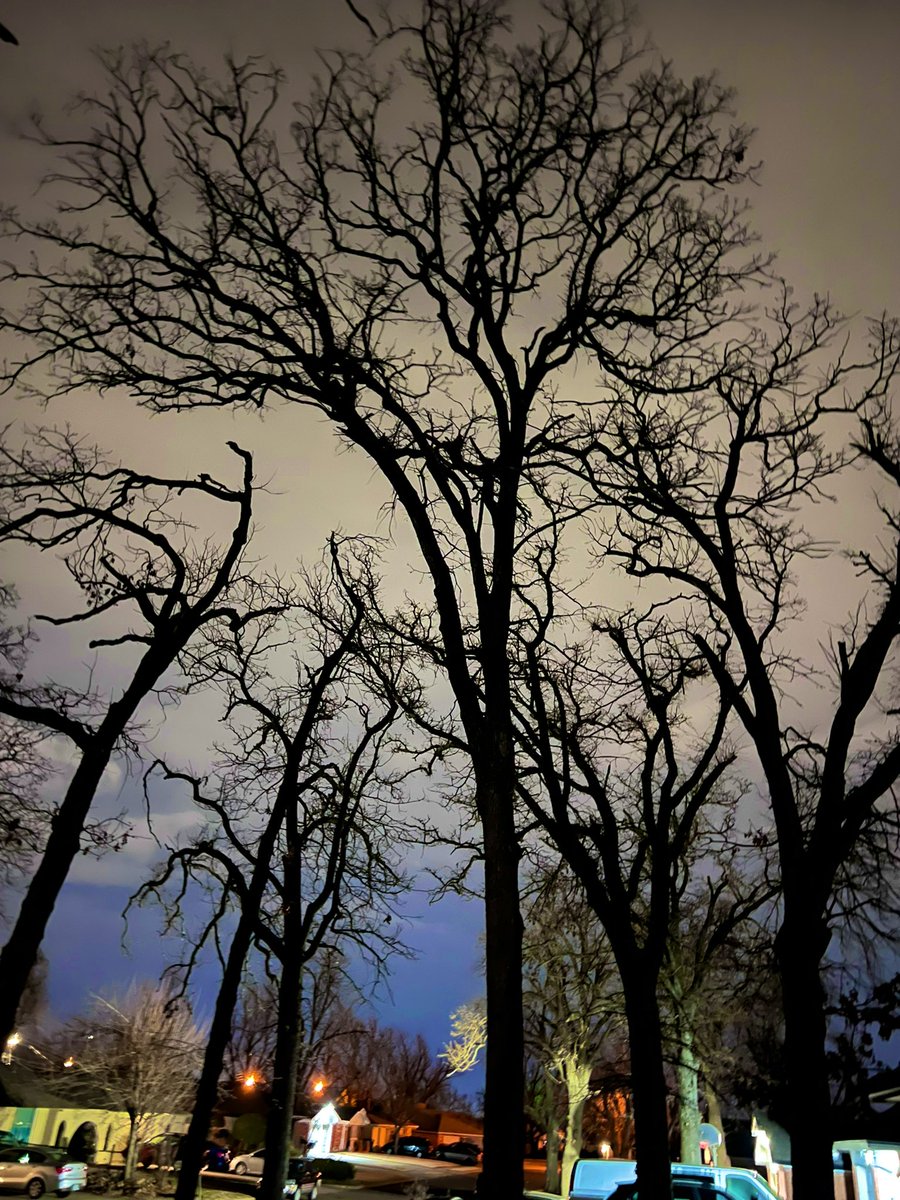 A festive evening in the neighborhood