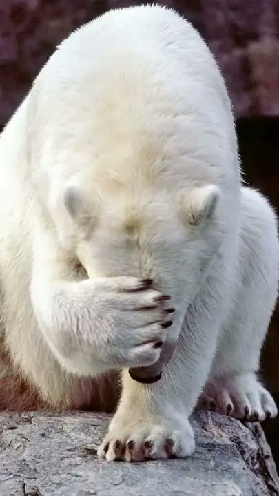 kuleshand's tweet photo. Ну шо, все вышли?) https://t.co/hu83vW38AH
