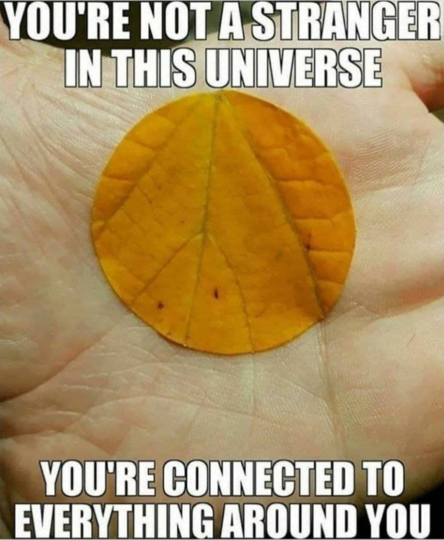 TheEarthBuddy's tweet photo. #SaveSoil https://t.co/ZJhepceyO8