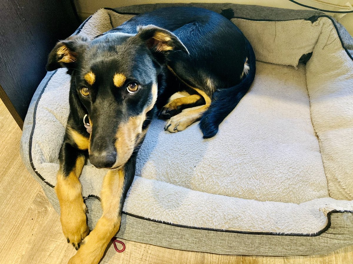 Cryptokid3.0 tweet media