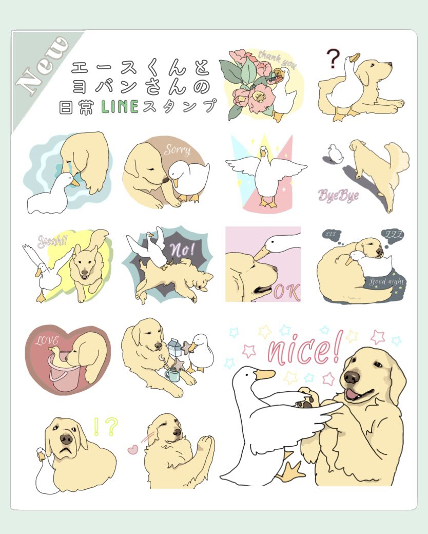 エースくんとヨバンさんのLINEスタンプをリリースしました🐥🐶
⬇︎シェアします⬇︎使ってください🍳⬇︎
『エースくんとヨバンさんの日常スタンプ。』
https://t.co/3Vpx52RWGR  #アヒル #ゴールデンレトリバー #LINEスタンプ 