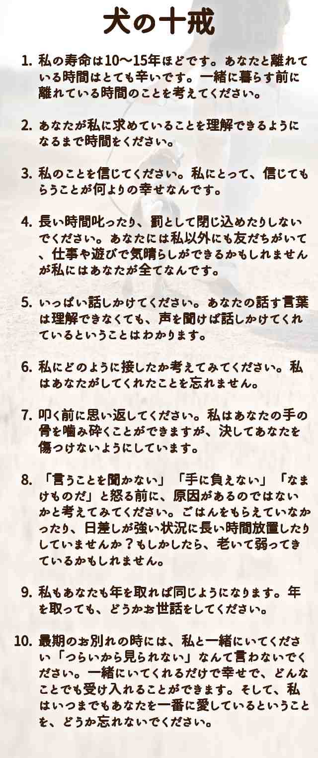 تويتر مشاهدة تغريدة Raptorgasuki على Twitter