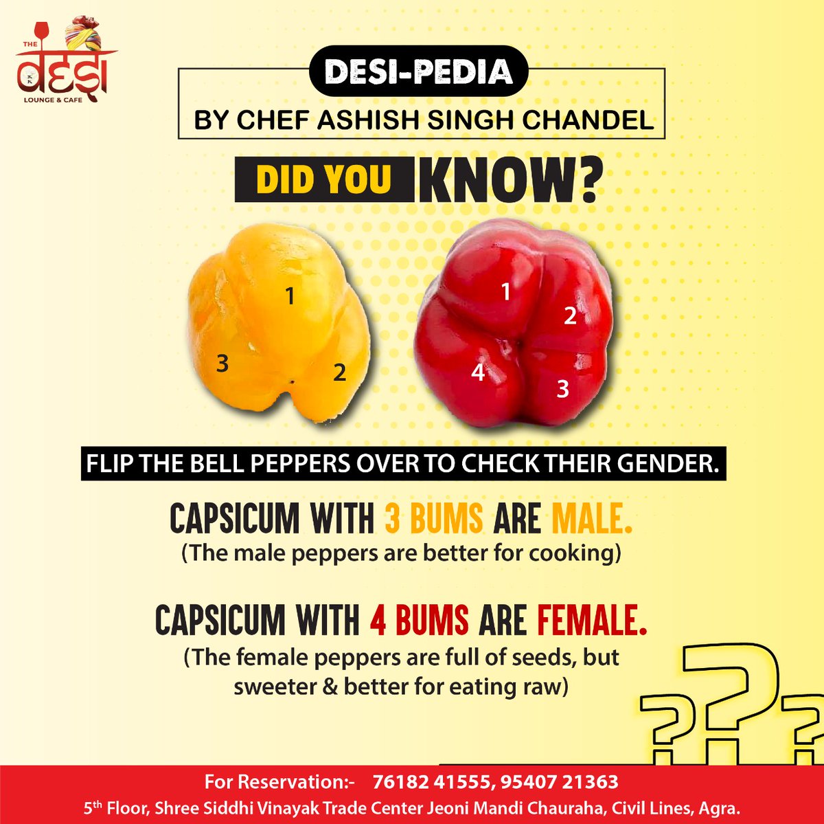 Desicafeagra's tweet photo. Did you know this...? Mention &amp; share someone who doesn't have any idea about it!! Desi Cafe Agra 

For Bookings/Reservations call us : +91 7618241555, 9540721363

Address : 5th Floor, Shree Siddhi Vinayak Trade Center, Jeoni Mandi Chauraha, Civil Lines, Agra https://t.co/3LVW0U8pnv