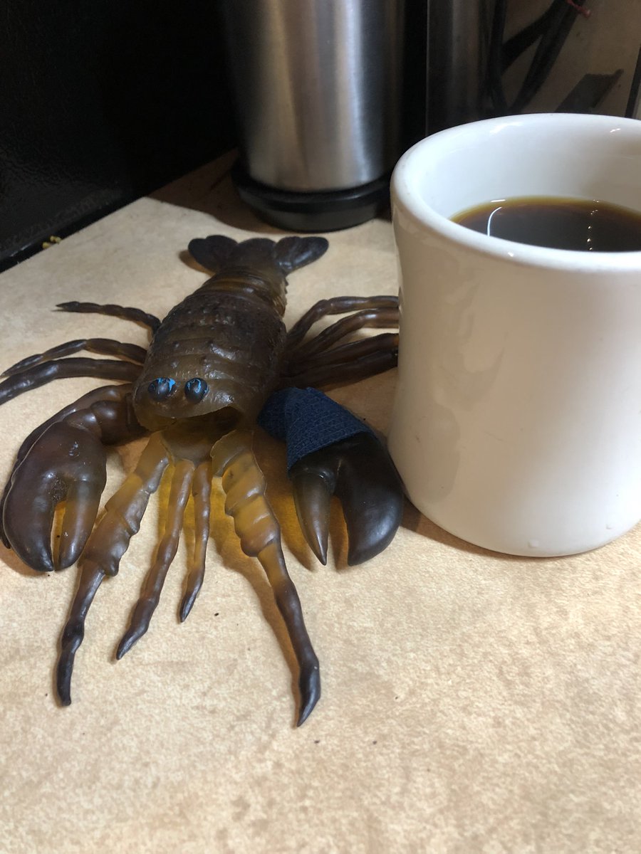 Tiffyno's tweet photo. new coffee maker ❤️🦞 https://t.co/D6oSK5z0Bh