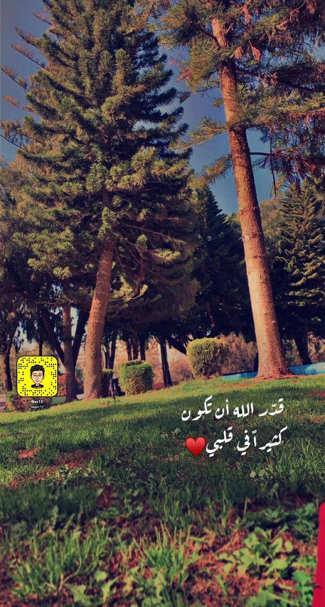 nasser123aaa's tweet photo. https://t.co/z2UYWfxIXq