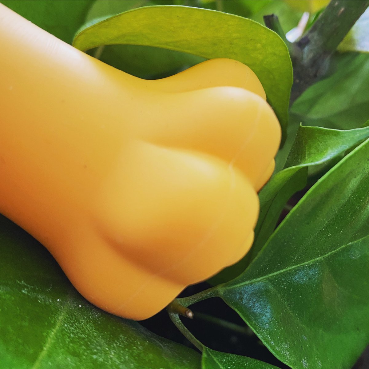 cozythink's tweet photo. 🐾🍊22222．雨
《footprint daily》
https://t.co/5rG5hdXWVN

#cat #dog #貓 #犬 #貓雑貨 #犬雑貨 #footprint #肉球スタンプ #cute #love #肉球 #orange #猫の日 https://t.co/ud9OO8FEMP