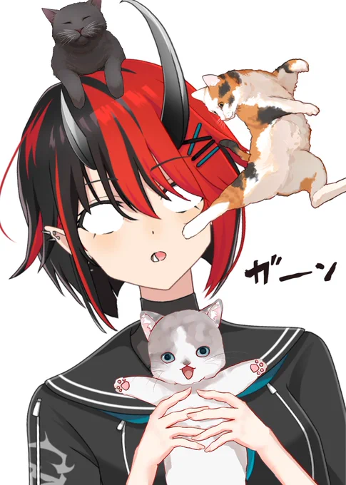 猫の日だからってあざとい写真ばっかりツイートすな!
#猫の日 