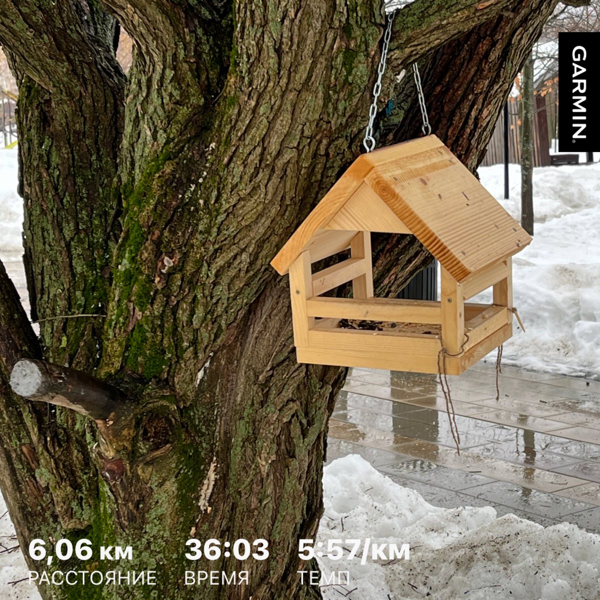 mobiduc's tweet photo. Morning run 🏃‍♂️ https://t.co/fObX7tpgKr