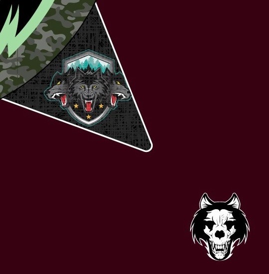 Wolves NFT 🐺 💛💙🌻 tweet media