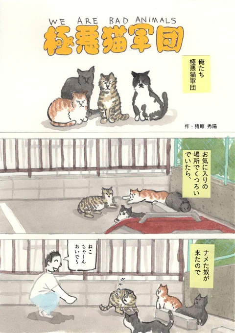 We're バッド・アニマルズ 「極悪猫軍団」(2020.7)
#猫の日 