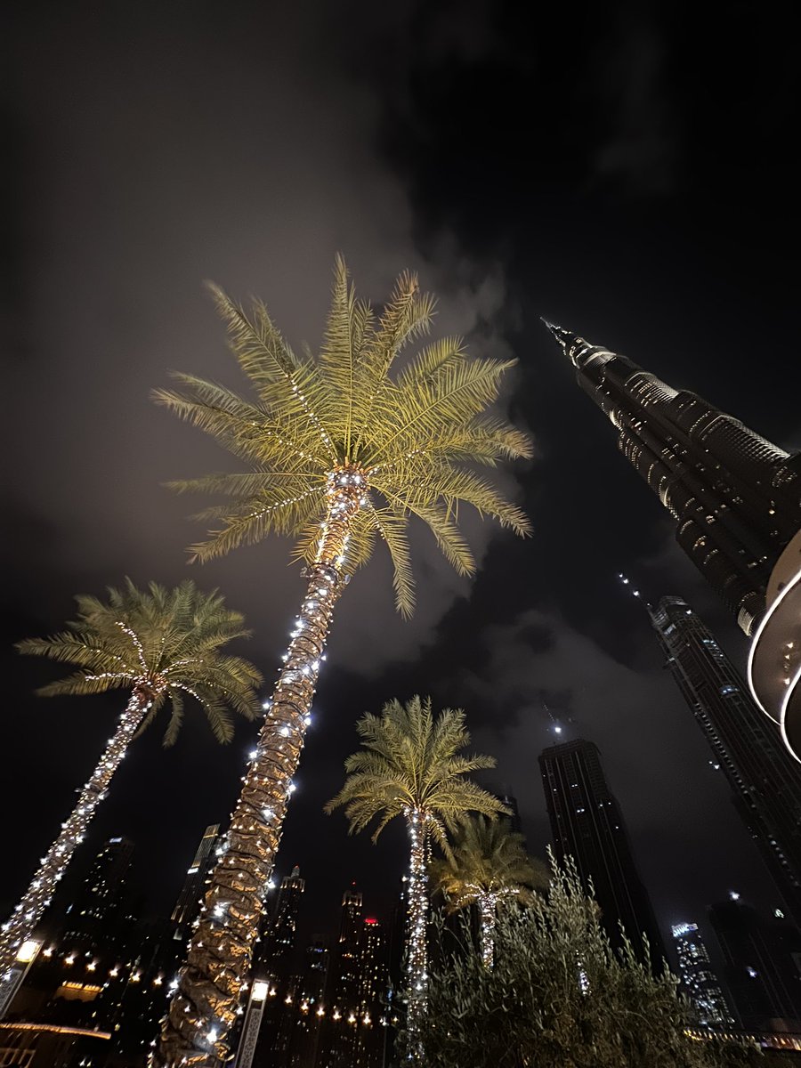 FadeMeNot's tweet image. Last night #DXB