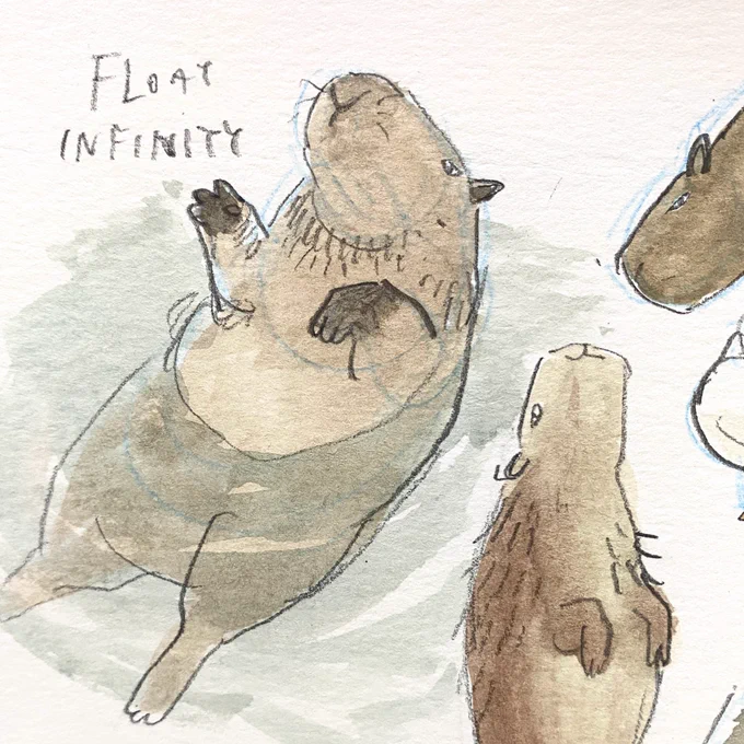 Capybaras 