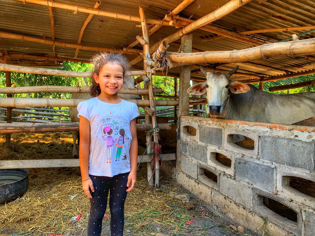 Fun4Emily's tweet photo. Enjoying the country life #buriram #thailand #holiday #travel #travelgram #travelthailand #enjoy #enjoylife #wanderlust #unseenthailand #cute #cutegirl #youtube #subscribe #fun4emily #littlegirl #sweet #kid #child #vlog #vlogger #isaan #family #love #cow #rural #travelphotography https://t.co/gHizNVg9Fs