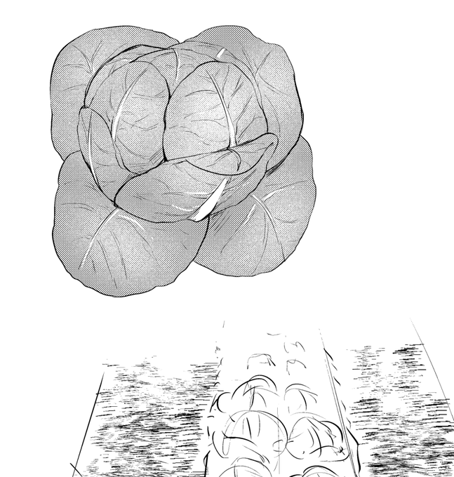 今日は時間が中途半端だったから同人のペン入れやらずに商業のキャラデザとか色々書いた。舞台をキャベツ畑にしたくて描いてみたら描けたからよし。キャラデザは一日寝かせて明日ペン入れ。 