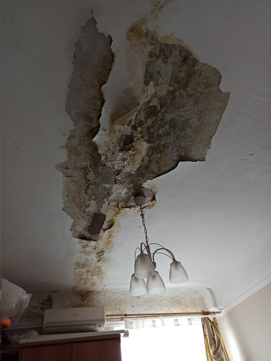 L.d.shvech tweet media