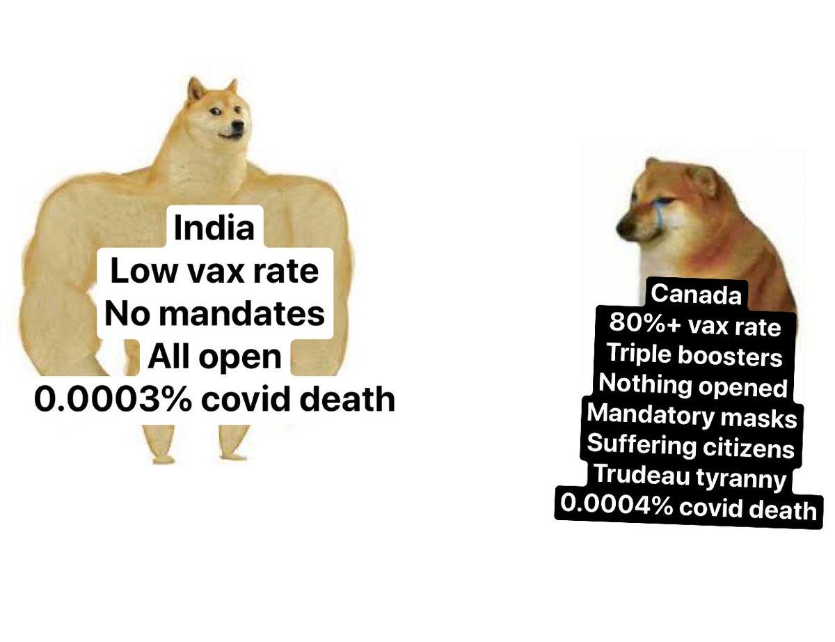 Been 6 months and everyday has been a blast! 
Truly FREE and SAFE 

#TrudeauFailedCanada #TrudeauTyranny #TrudeauNationalDisgrace #TrudeauNationalDisgrace