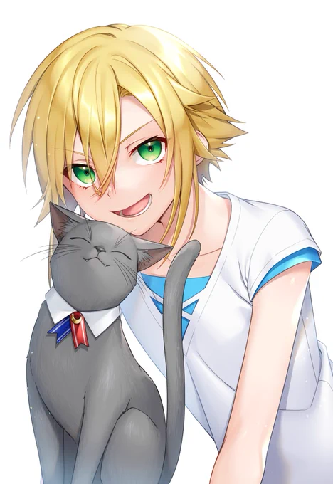 ネコチャンノヒ 
