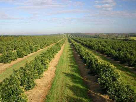 Modern Agriculture Updates tweet media