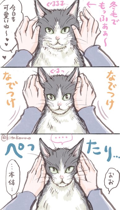トゥルーフォーム

#猫の日 
#スーパー猫の日 
