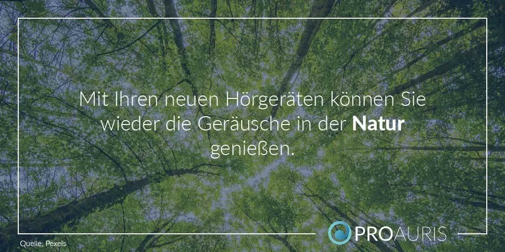 Es gibt nichts Besseres als neue und funktionierende Hörgeräte, womit Sie die Natur wieder in vollen Zügen genießen und entdecken können.  🌲 🦻

Auf unserer Seite können Sie sich einen Überblick schaffen. ⠀⠀
proauris.com/hoergeraete-te…

#natur #genießen #spazieren #proauris