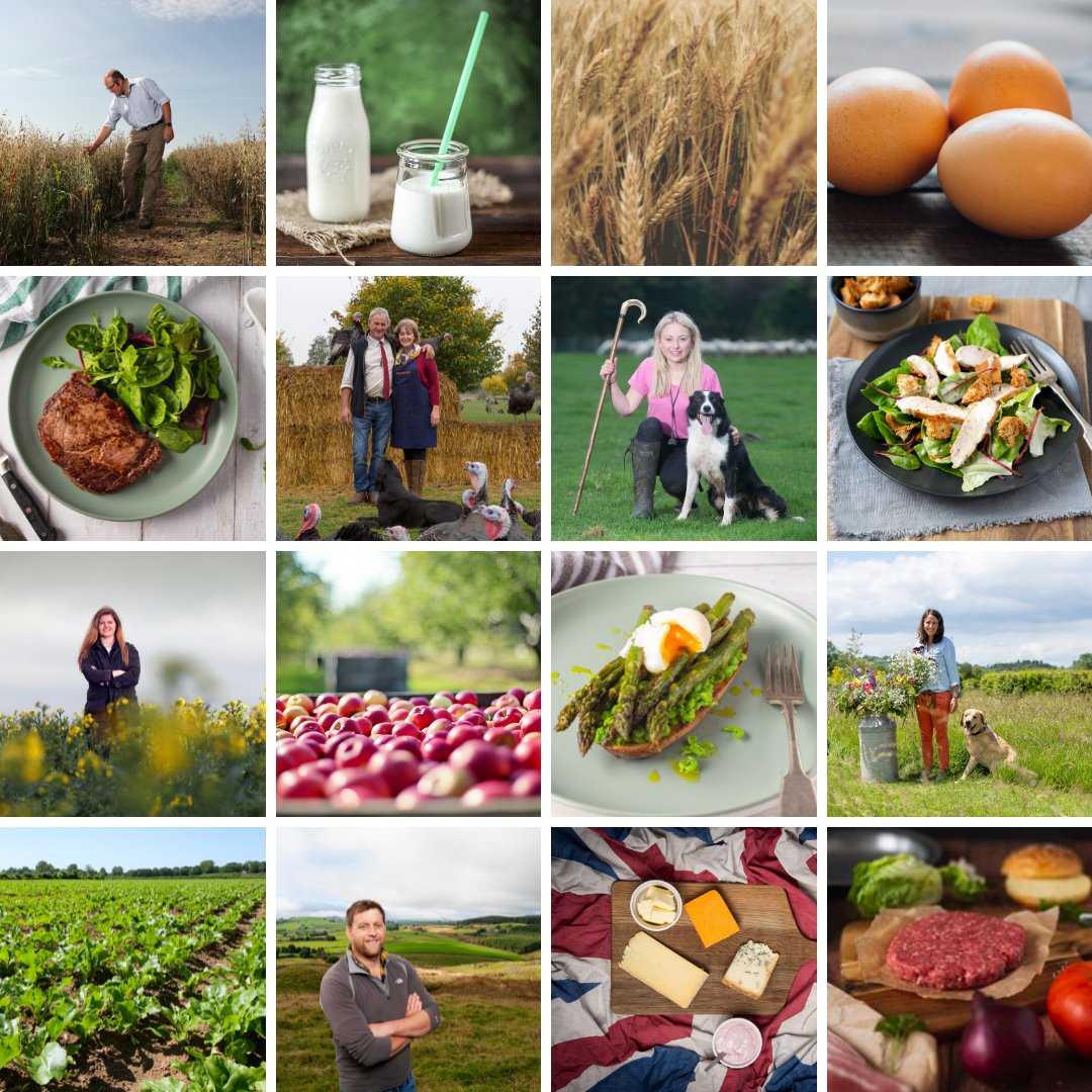 Behind every bite of British food is a brilliant British farmer 🇬🇧👨‍🌾

RT if you're proud of British food and farming 🥚🍅🍆🥓🥦🥔🍠🍒🍞🧀🥩🍗🍓🍏🥛

#NFU22